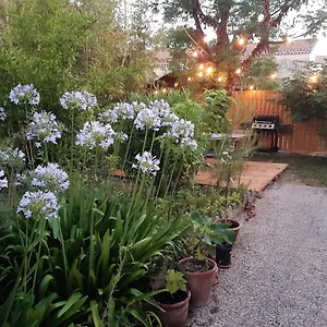 Villa Les Bambous , Jardin , Terrasse , Climatisation , Wifi , Parking, Avignon